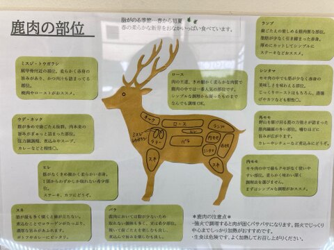 福岡産【鹿肉】各部位食べ比べセット600ｇ+ミンチ150g