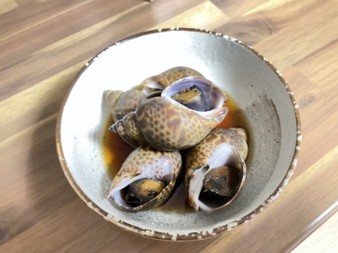 【年末早割】冷凍黒ばい貝の煮付け(500g20個前後×2)