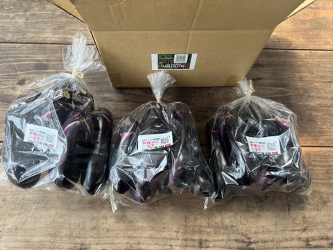 ☆有機JAS認証☆茄子500g×3袋