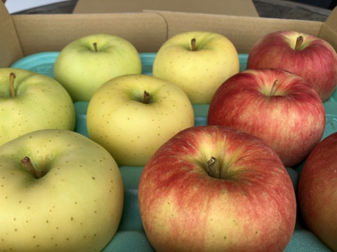 【冬ギフト】今が旬のりんご2種類食べ比べセット3kg 贈答用にもおすすめのキズなし良品りんご🍎🍏ネオニコフリー・化学肥料不使用・低農薬で特別栽培認証取得✨ギフト🎁おもてなしにもおすすめです😊