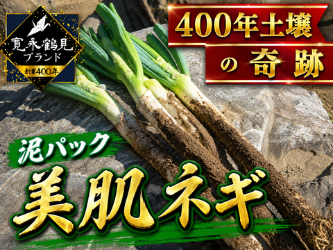 【相葉マナブ出演話題】最高糖度15度超え💡400年の土壌にギリギリまで眠らせた泥パック美肌ネギ☘️【お試し約1キロ】【冬ギフト】