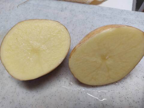 🥔採れたて新ジャガ✨農薬・化学肥料不使用「ニシユタカ」3kg　Sサイズ🥔