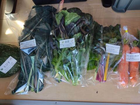 ✨【福袋】レアベジ・カボチャ含むお野菜セット（農薬・化成肥料不使用）おまけ付✨