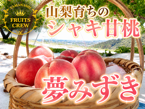 【清涼感のある硬質甘み 夢みずき】本場山梨の品種指定キャンペーン🍑シャキ甘い山梨オリジナル桃☆贈り物にも✨お試し約1㎏🍑7月上旬～発送🍑