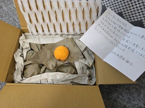 ご自宅向け】農薬化学肥料不使用のびわ（500g以上）：千葉県産のその他