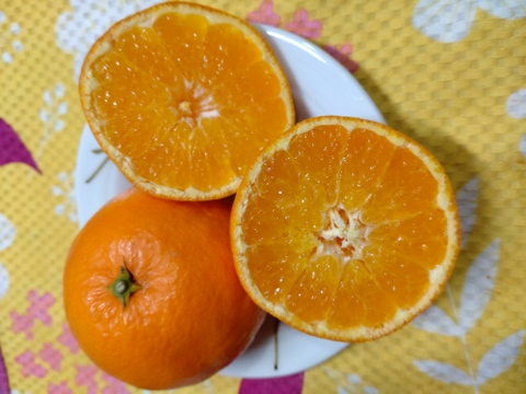【希少な柑橘】爽やかなオレンジ香、プリンス清見🍊３kg(箱込み)