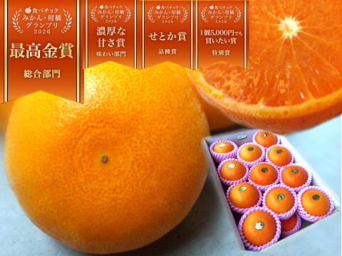 🏆みかん柑橘グランプリ2026最高金賞含む最多４部門受賞の木熟せとか！大感動！樹上完熟させた濃厚な甘みの大トロせとか！とろける甘さと上品な味わい！「木熟せとか」厳選プレミアム　約４．２ｋｇ【403】