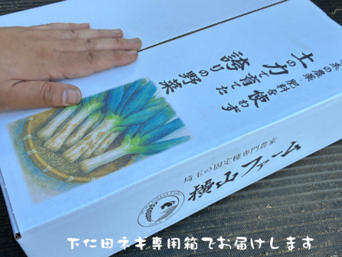 ネギの殿様！　固定種ネギ『下仁田ネギ』(10本)　Mサイズ