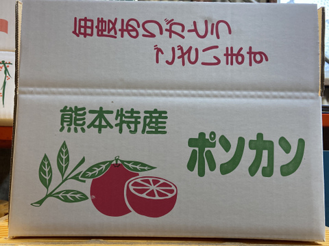 【予約販売】今が旬！果汁たっぷりポンカン(5㎏)