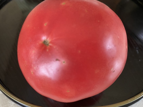 【すぐにお買い求め下さい】信州産　完全農薬不使用　完熟トマト（お箱込で２キロ）