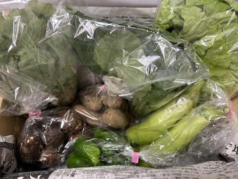 【おまかせ】オーガニック野菜セット(6品)