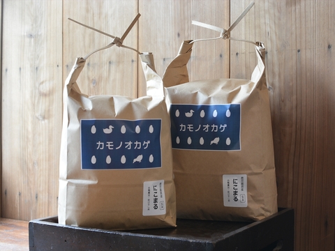 【合鴨農法・はざかけ】令和７年産 あいがも米「カモノオカゲ」あきほなみ 白米 10kg