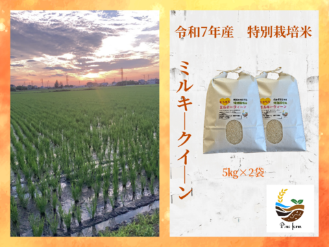R7年産特別栽培米　ミルキークイーン　10㎏