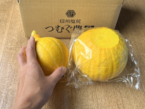 豊作セール60[信州の夏]生で食べれるかぼちゃコリンキー