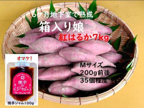 さつまいも（紅はるか）長期間地下室熟成で甘い大分県産　Mサイズ７ｋｇ＋焼芋ジャムのオマケ