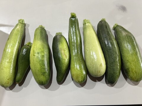 今が旬】固定種のズッキーニ2kg 自然栽培 訳あり品：福島県産のその他
