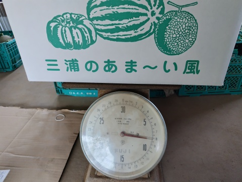 【数量限定】小玉スイカ「姫甘泉」シャリあま 糖度13度以上！（3玉）