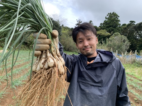 【初めて作ったから食べてみてほしい】土付き有機ラッキョウ1kg種子島産