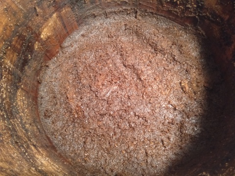杉樽で熟成させた自然栽培味噌　800g ×2パック