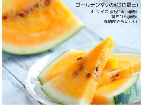 【予約】大玉すいか羅王食べ比べセット４L(金色＋ザスウィート) 各1玉【夏ギフト】