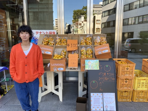 【これ選べば間違いなし】段畑育ちの早生みかん　サイズ混合　10kg