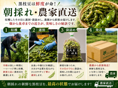 丹波篠山 黒枝豆 1.8kg( 600g × 3袋 ) 【令和7年新豆・予約販売】 産地