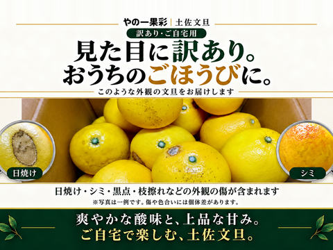 土佐文旦 訳あり10kg｜見た目より味と量｜サイズ・玉数おまかせ｜発祥