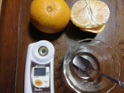 ハッサク(八朔)　５㎏【農薬化学肥料不使用】【農薬・化学肥料不使用】【熨斗(のし)対応可】