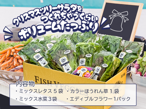 【冬ギフト】クリスマスツリーサラダセット　新鮮！採れたて野菜！5人前の大ボリューム！