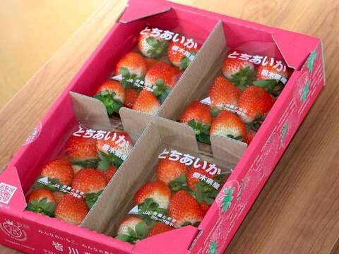 (8P)【いちご・とちあいか】実がしっかりして酸味が少なく甘さが際立つ新品種★どどーんと(８パック)「とちあいか」栃木県産いちご