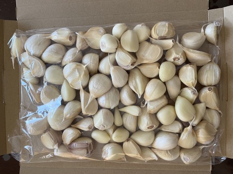 青森県産 訳あり にんにく バラ 800g  ホワイト六片 家庭用バラ にんにく農園が育てた「こだわりの品質」