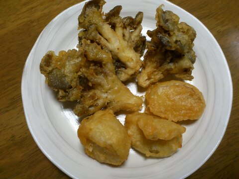 シャキッと歯ごたえ【鮮度で味は全然違います】有機栽培エリンギ