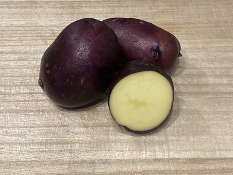 希少種ジャガイモ　タワラマゼラン深みのある甘みが特徴
