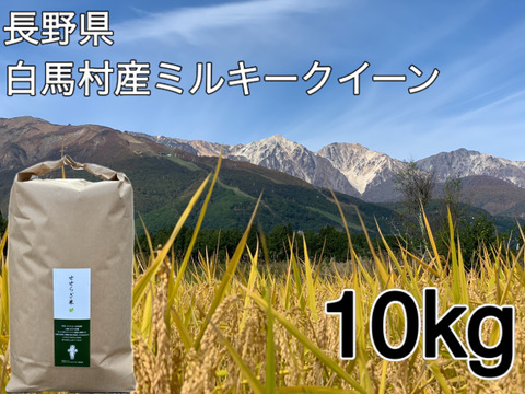 令和7年白馬産ミルキークイーン10kg
