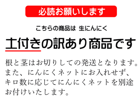 期間限定 採れたて新鮮！幻の「生にんにく」Mサイズ 訳あり 1kg