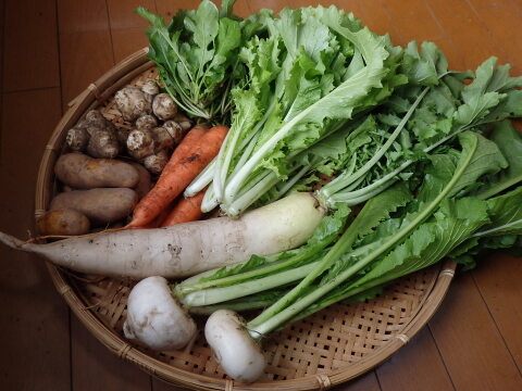 【自然栽培】高原の野菜セットS（７～８品目）