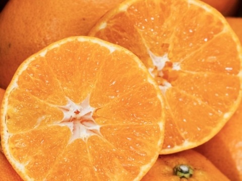 【人気２品種食べ比べ】せとか＋甘平 各1kg 家庭用