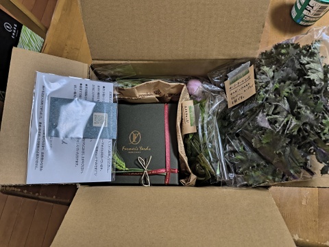 【母の日ギフト】野菜ブーケ BOXタイプ【メッセージカード付き】【カラフルなミニ野菜】【4/26(土)～5/18(日)お届け】