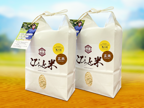 【令和7年産・新米】栽培期間中農薬不使用【亀の尾】玄米・4kg　あっさりとした上品な味わい　こぴっと米