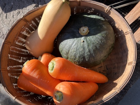 【冬の贈り物】栗かぼちゃ&バターナッツ、アロマレッド人参の詰め合わせ