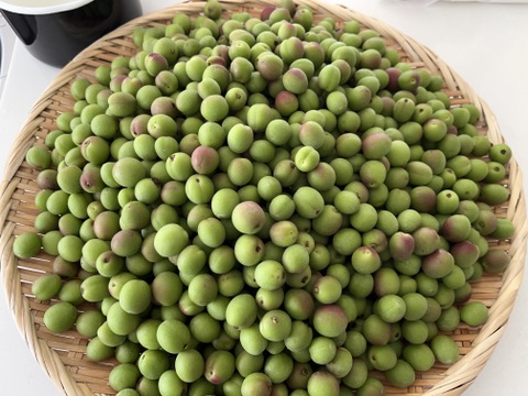 【甲州小梅】自然栽培 農薬・化学肥料不使用の青梅！サイズ混合3kg