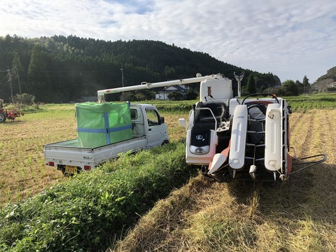 令和7年菊池米食味コンクール第3位受賞　農薬化学肥料成分を気にしなくてよい、「菊池清流米」白米　20ｋｇ
