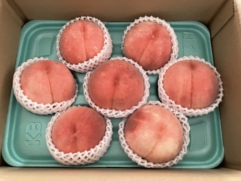 【福袋2025】希少品種玉うさぎ　硬くて甘い桃が好きな人に食べてほしい✨