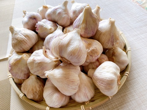 一家に１本万能旨味調味料！ 薫の塩麴にんにく500ｇ