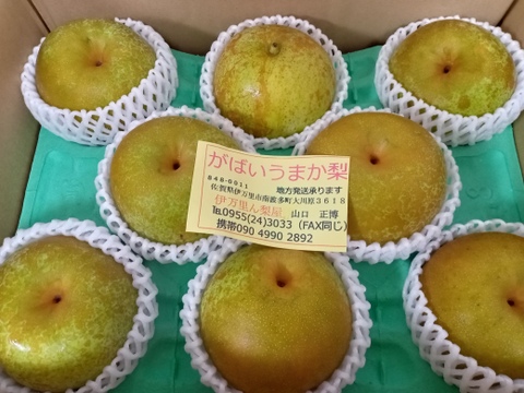 がばいうまか梨、3キロ箱 × 2箱梱包