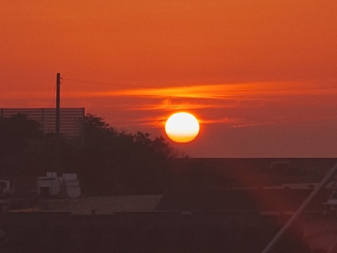 自然栽培なす　焼き茄子、正直とろけます！【予約販売開始　数量限定】自然栽培★希少固定種 在来種専門農家（ Awaji369farmからお届け）農薬不使用　無肥料栽培【淡路島産　固定種　なす1.5kg】