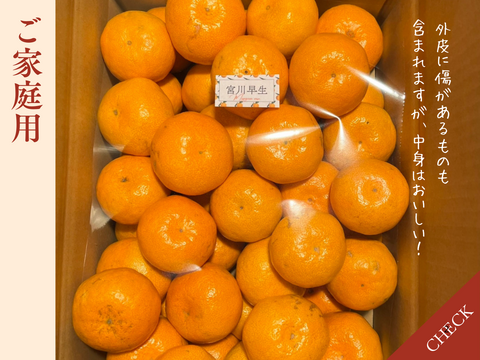 【完熟有田みかん】5キロLサイズ　家庭用　温州みかん　宮川早生　早生みかん　【冬ギフト】