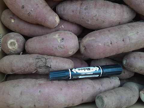 ニシユタカ＆紅はるか　2025年産　訳あり　たっぷり6ｋｇずつの12ｋｇ入り！　貯蔵して超絶美味しい！　有機JAS　いもいもセット　そのやま農園