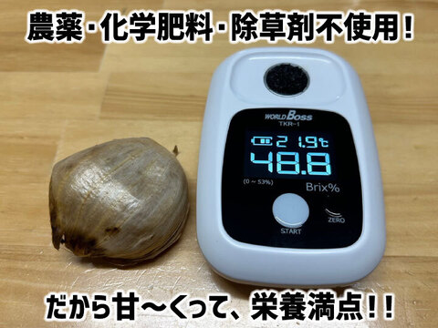 【新商品！】奇跡のブラックフルーツペースト 100g×１本【農薬不使用】青森県産黒にんにく【メール便】