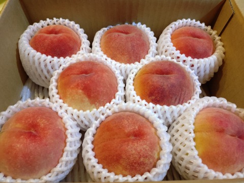 ご家庭用桃】品種おまかせ🍑2キロ🍑【届いた時は硬いが追熟